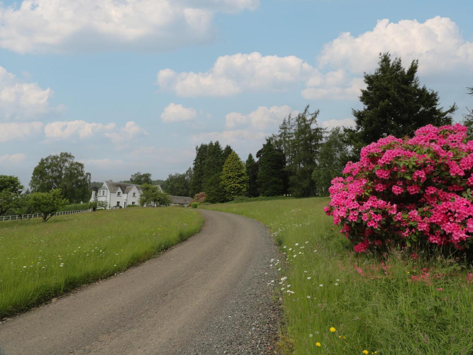 Fordie Lodge Crieff Exterior foto